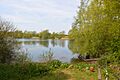 Ardleigh Gravel Pit 5