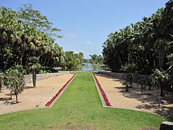 Bailey Palm Glade (5752321428).jpg