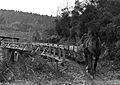 Blackwater Mine bush railway