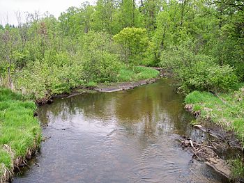 Blueberry River Minnesota.jpg