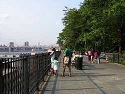 Brooklyn heights promenade
