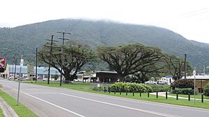 Butler Street, Tully, with Mount Tyson in the background, 2016