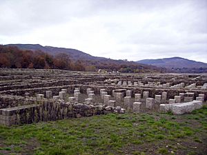 Campamento romano Aquis Querquennis