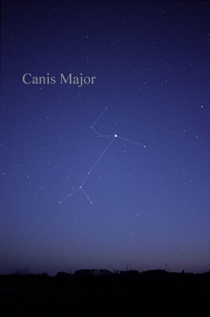 CanisMajorCC