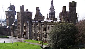 Cardiff Castle 2