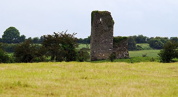 Castles of Munster- Kilcolman, Cork (geograph 3036773)