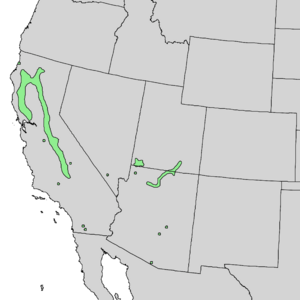 Cercis occidentalis range map 2.png