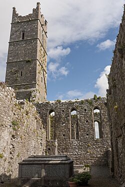 Claregalway Abbey Ruins.jpg