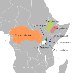 Colobus guereza map