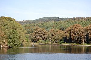 Compstall - Etherow Country Park - Reservoir