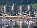 Conwy Castle DSC02168c