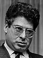 Ed van Thijn 1989 (1)