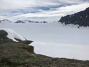 Eklutna Glacier Main Branch Upper Basin