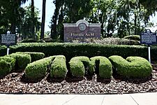 FAMU-3 - 52272376762