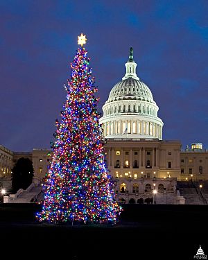 Flickr - USCapitol - Capitol Christmas Tree - 2009