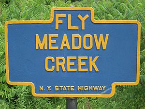 Fly Meadow Creek
