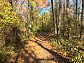 Fort Lee Historic Park Hiking Path