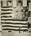 Fort McHenry flag