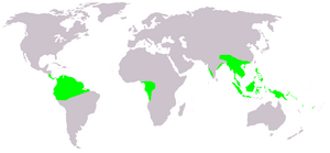 Map showing the range of Gnetum