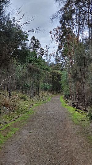 Gordons Hill Nature Reserve