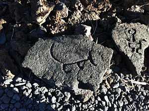 Hawaiian petroglyph of a dog (8603570773)