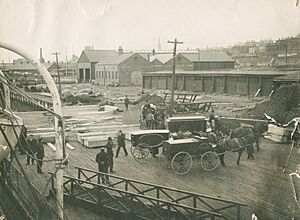 Hearses lined up on Halifax wharf to carry RMS Titanic victims to funeral parlours, Halifax, Nova Scotia, Canada, 6 May, 1912