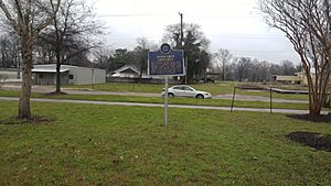 Mississippi Blues Trail marker for David "Honeyboy" Edwards in Shaw
