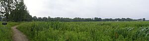 Hoosier Prairie (old field)