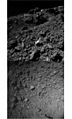 Images of asteroid Ryugu from the wide angle Optical Navigation Cameras (ONC-W1 and ONC-W2) via Hayabusa2