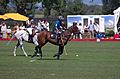 Jaeger-LeCoultre Polo Masters 2013 - 31082013 - Match Legacy vs Jaeger-LeCoultre Veytay for the third place 44