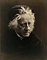 Julia Margaret Cameron - John Herschel (Metropolitan Museum of Art copy, restored) levels