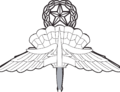 Jumpmaster transparent background