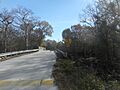 Lanier Bridge at Withlacoochee River County Park