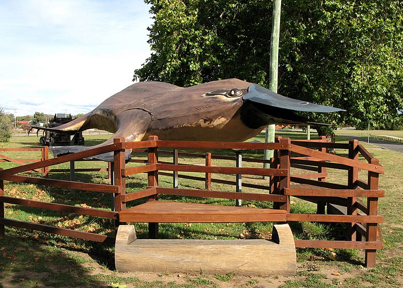 Latrobe BigPlatypus