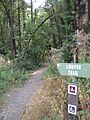 Linnton Trail, Portland, Oregon