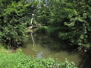 Little Thornapple River Chester Township Eaton County Michigan.jpg