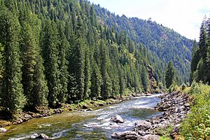 Lochsa River in Clearwater NF