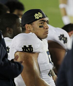 Mantiteo2010