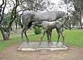 Mare & foal