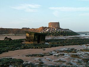 Martello Tower and an inverted Pillbox by the very eroded cliffs at East Lane, Bawdsey - geograph.org.uk - 65839.jpg