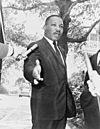 Martin Luther King Jr NYWTS 2