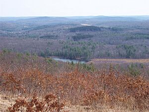MohawkStateForest