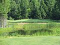 Monck's Landing 6th Hole Photo