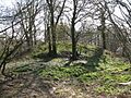 Motte at Castlebythe - geograph.org.uk - 393240