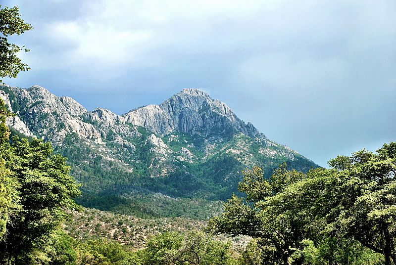 Mount Wrightson from Madera Canyon