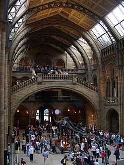 Natural History Museum hall