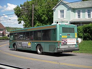 New Castle Transit - panoramio