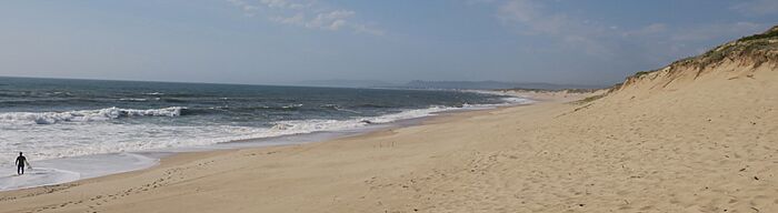 Noroeste Povoa Varzim Dunas Surf crop
