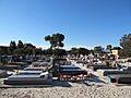 OIC guildford cemetery 4