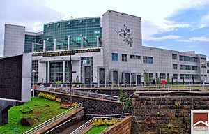 Oromia Cultural Center Addis Ababa